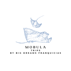 whale aquarium studio logo